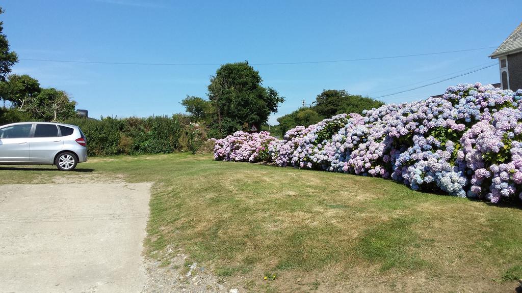 Trewithian Farm B&B Truro Exteriör bild
